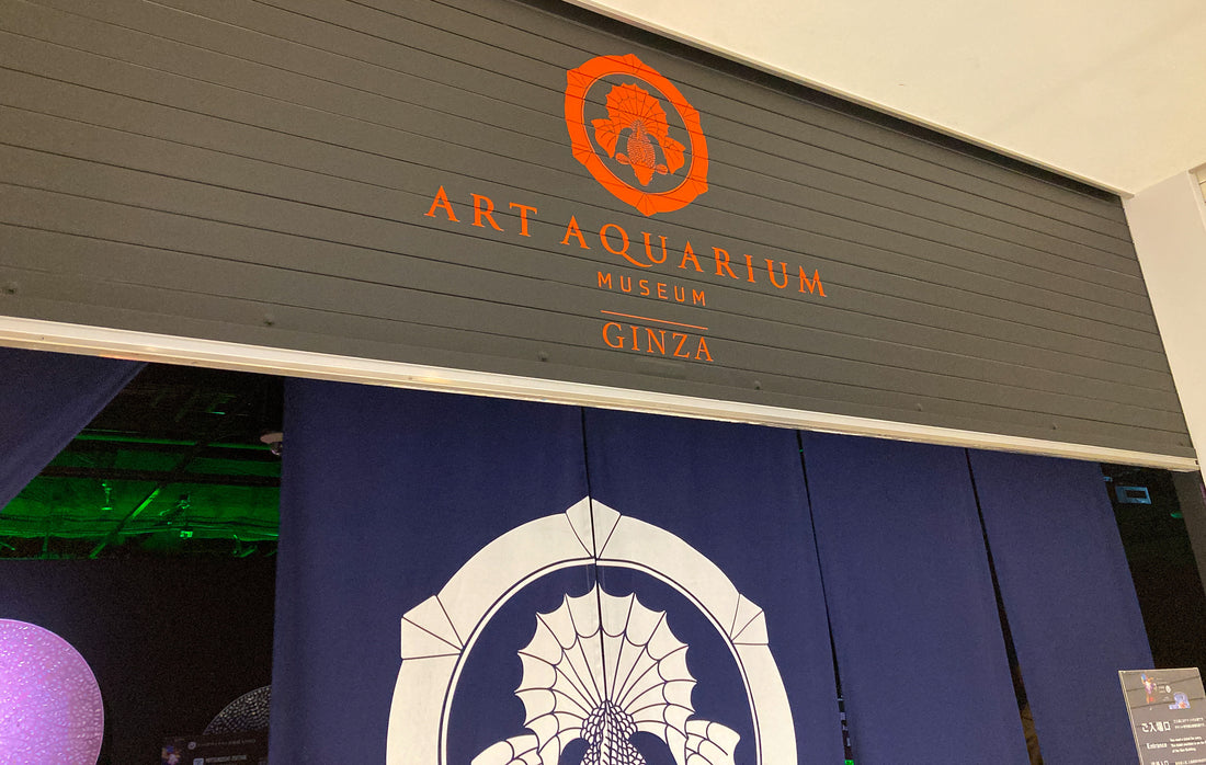 Art Aquarium Museum - Ginza